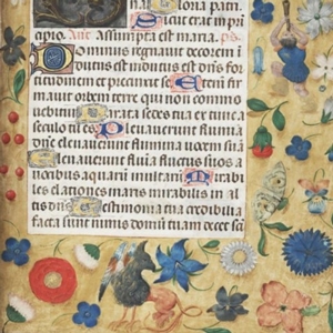 First Wednesdays with the Rare Book Department